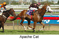 Apache Cat (14872 bytes)