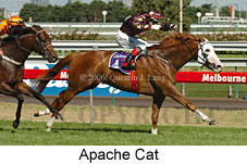 Apache Cat (14872 bytes)