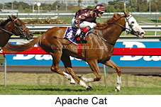 Apache Cat (18229 bytes)