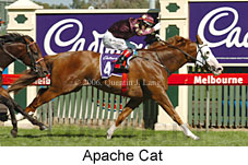 Apache Cat (14872 bytes)