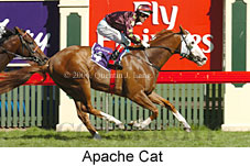 Apache Cat (14872 bytes)