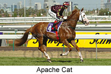Apache Cat (14872 bytes)
