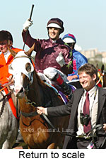 Return to scale (15361 bytes)