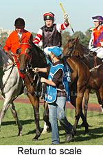 Return to scale (15361 bytes)