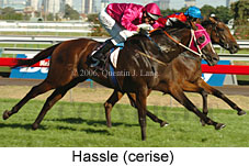 Hassle (14872 bytes)