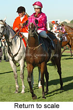 Return to scale (15361 bytes)