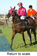 Return to scale (15361 bytes)