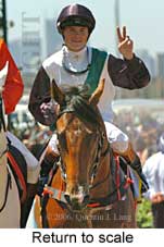 Return to scale (17769 bytes)