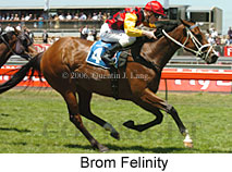 Brom Felinity (18507 bytes)