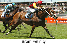 Brom Felinity (18507 bytes)