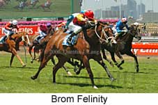 Brom Felinity (18507 bytes)
