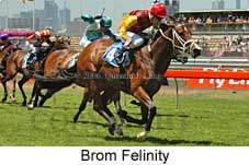 Brom Felinity (18507 bytes)