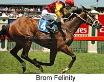Brom Felinity (18507 bytes)