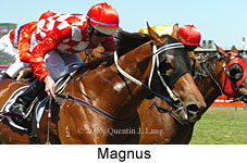 Magnus (17076 bytes)