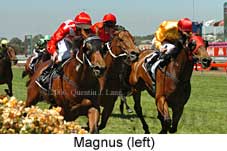 Magnus (18507 bytes)