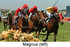 Magnus (18507 bytes)