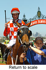Return to scale (17769 bytes)