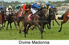 Divine Madonna (18507 bytes)