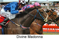 Divine Madonna (18507 bytes)