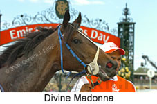 Divine Madonna (18507 bytes)