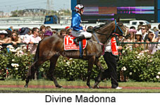 Divine Madonna (18507 bytes)
