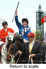 Return to scale (17769 bytes)