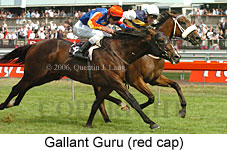 Gallant Guru (18507 bytes)