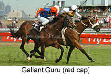 Gallant Guru (18507 bytes)
