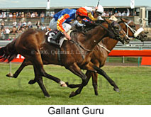 Gallant Guru (18507 bytes)