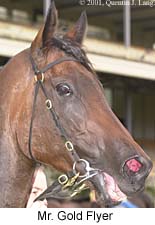 r1mrgoldflyer.jpg (14628 bytes)