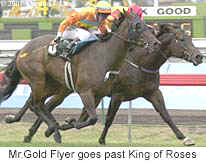 r1mrgoldflyer2.jpg (13015 bytes)