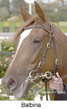 r2balbina2.jpg (12883 bytes)