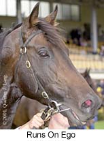 r3runsonego2.jpg (14468 bytes)