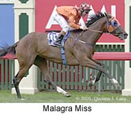 r4malagramiss.jpg (17165 bytes)