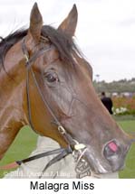 r4malagramiss3.jpg (12201 bytes)