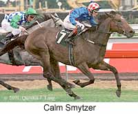 r5calmsmytzer.jpg (17069 bytes)