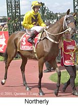 r6northerly.jpg (19240 bytes)