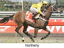 r6northerly2.jpg (19482 bytes)