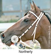 r6northerly3.jpg (15136 bytes)