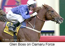 r7gboss.jpg (17714 bytes)