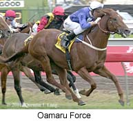 r7oamaruforce.jpg (19223 bytes)