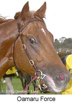 r7oamaruforce2.jpg (13221 bytes)