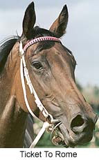 r8ttorome2.jpg (14880 bytes)