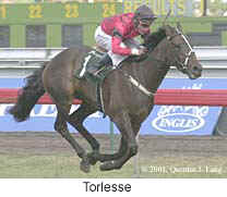 r9torlesse.jpg (15992 bytes)