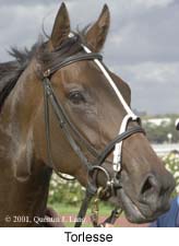 r9torlesse2.jpg (13153 bytes)