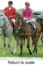 Return to scale (15361 bytes)