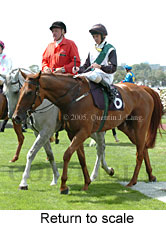 Return to scale (15361 bytes)