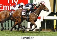 Leveller (14872 bytes)