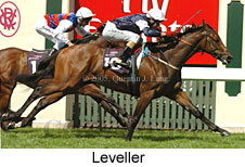 Leveller (14872 bytes)