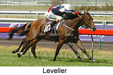 Leveller (14872 bytes)